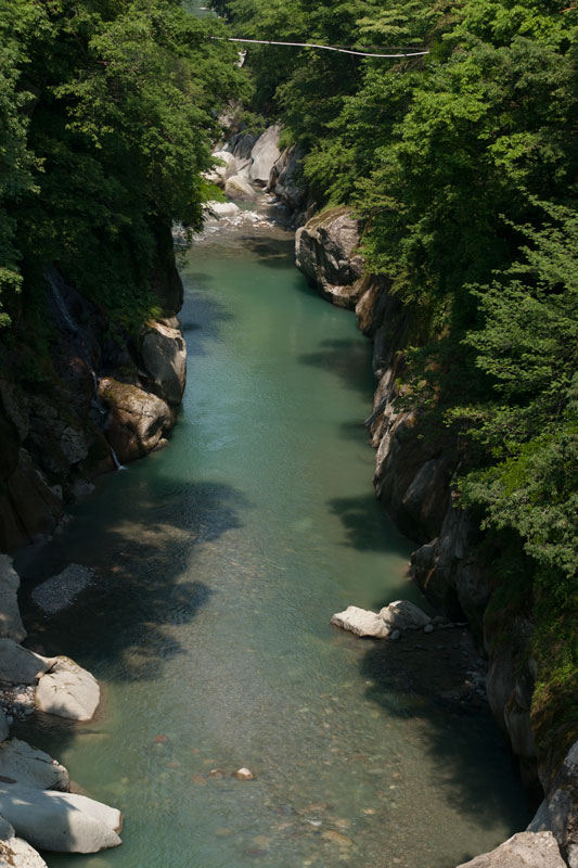 d0342652_5361892.jpg