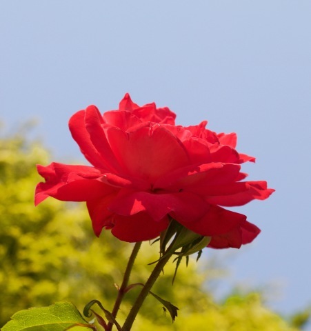 a0248459_08411267.jpg