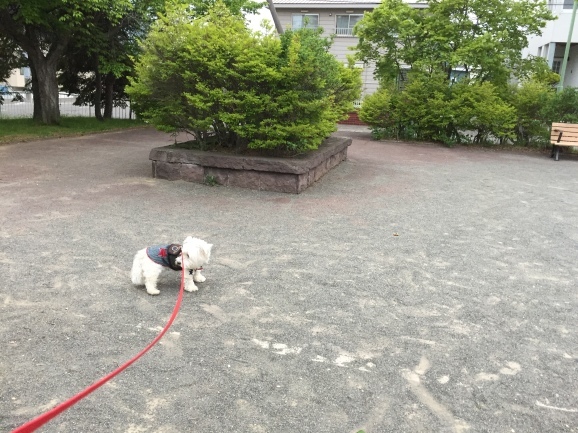 a0337860_23001864.jpeg