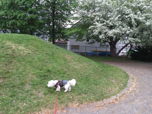 a0337860_23012571.jpeg