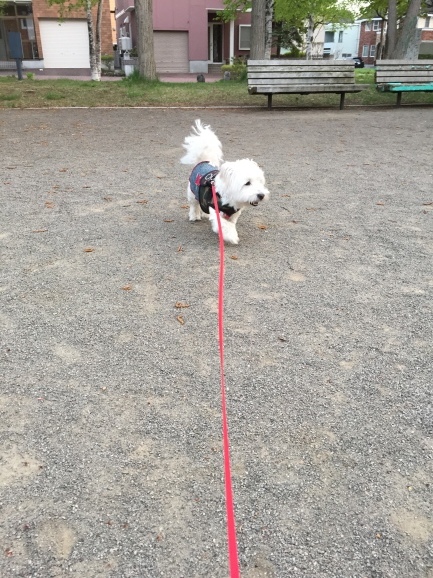 a0337860_23103343.jpeg