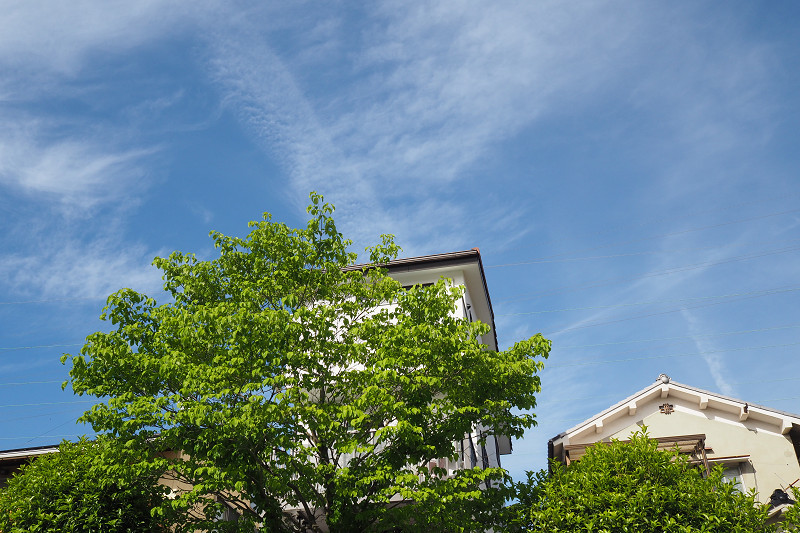 b0319266_17584431.jpg