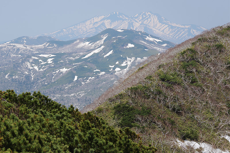 f0054366_22340826.jpg