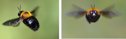 c0248067_15234264.jpg