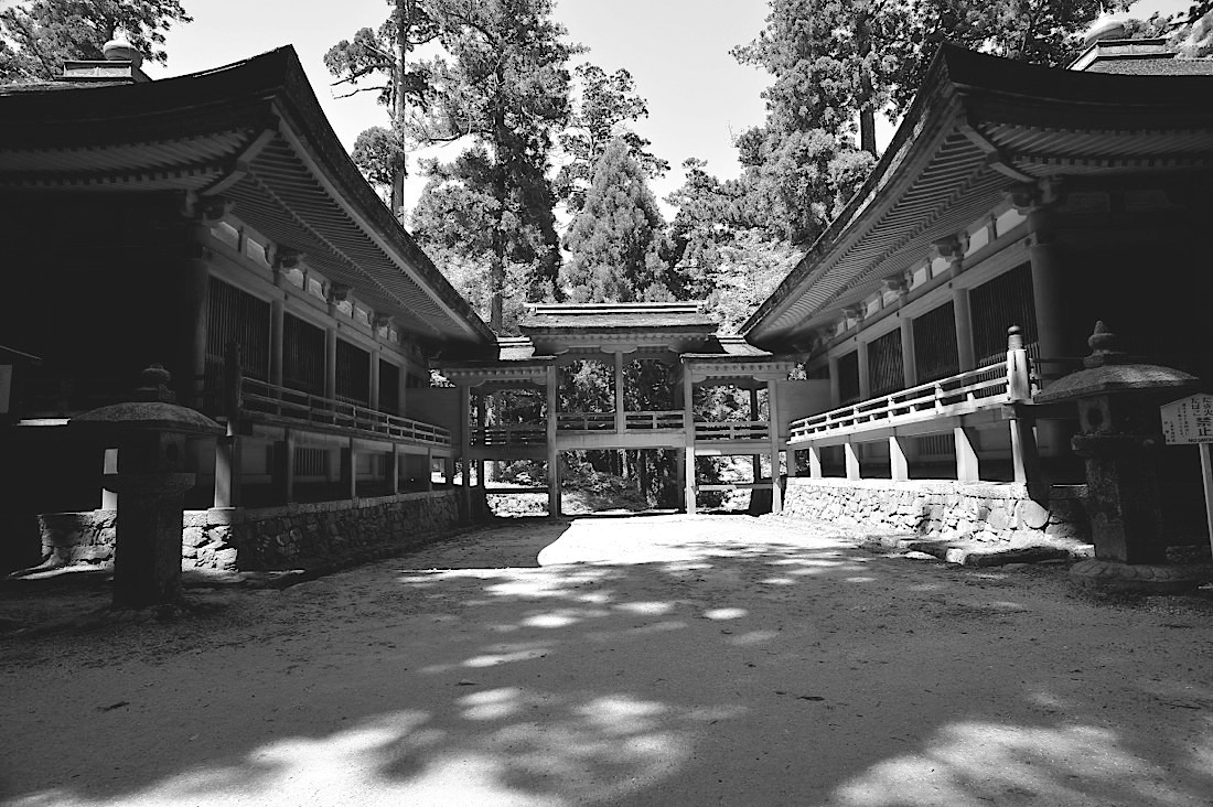 d0175768_14032221.jpg