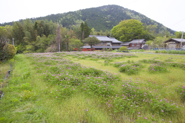 c0163369_1635110.jpg