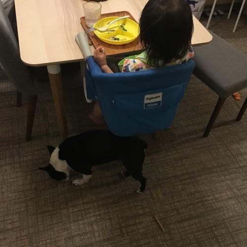 d0041575_23113771.jpeg
