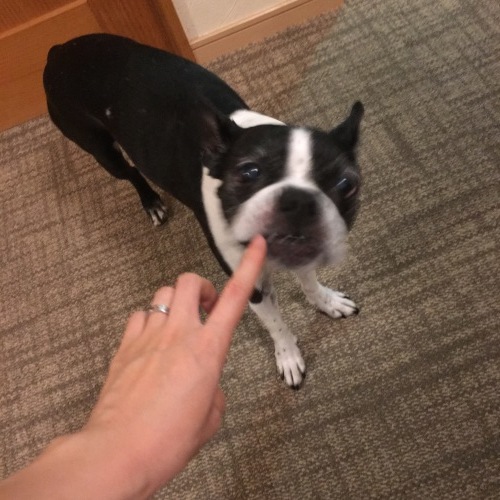 d0041575_23120994.jpeg