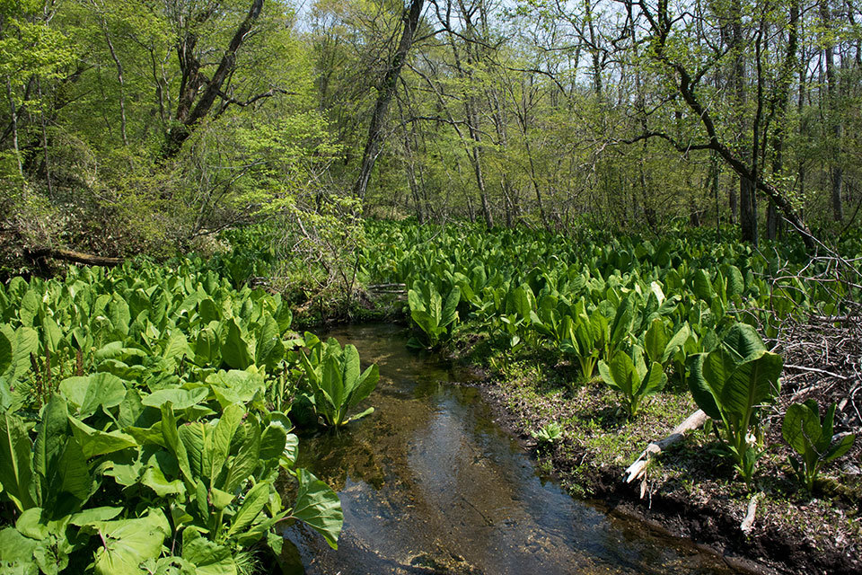f0109977_17522530.jpg