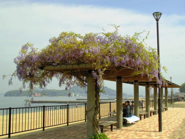 d0155582_2029471.jpg