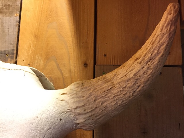 c0078587_18405013.jpg