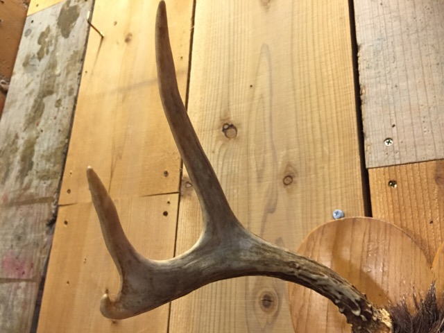 c0078587_18431783.jpg