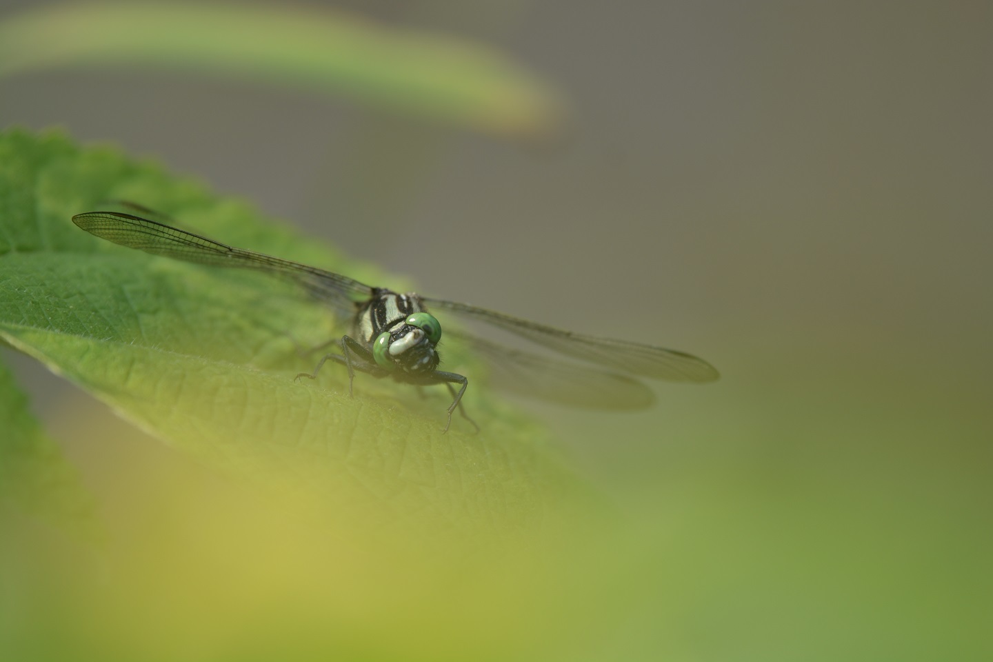 e0353790_07372504.jpg