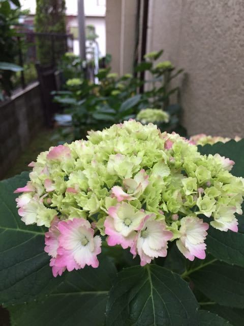 f0130894_22072293.jpg