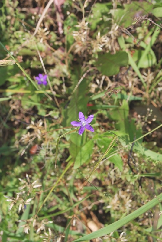e0025300_2284442.jpg
