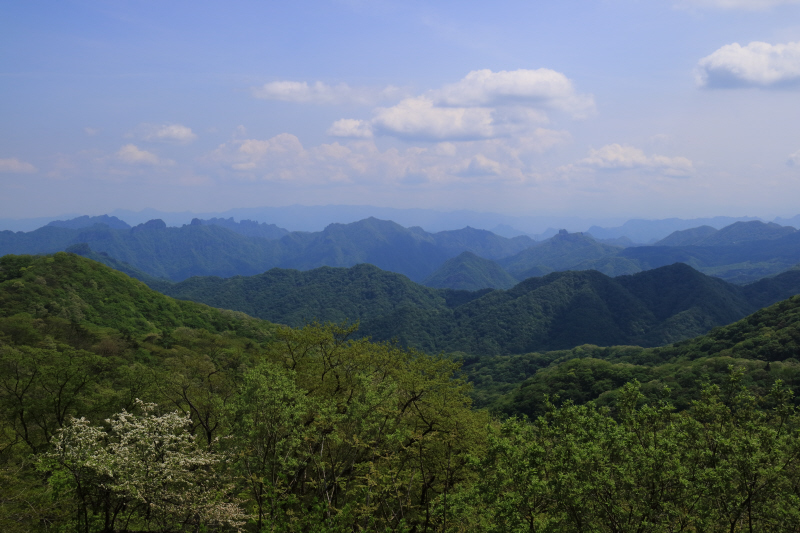 a0357206_1942519.jpg
