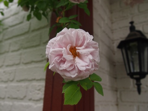c0117007_20525663.jpg