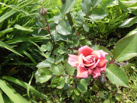 b0035611_19171801.jpg