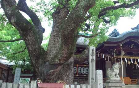 b0326613_23381445.jpg