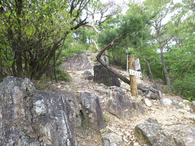 d0170615_1610294.jpg