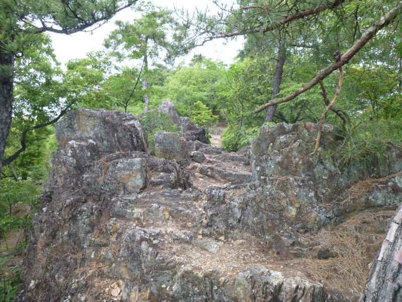 d0170615_1611734.jpg