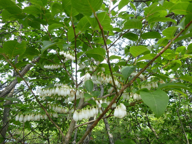 d0170615_1612193.jpg