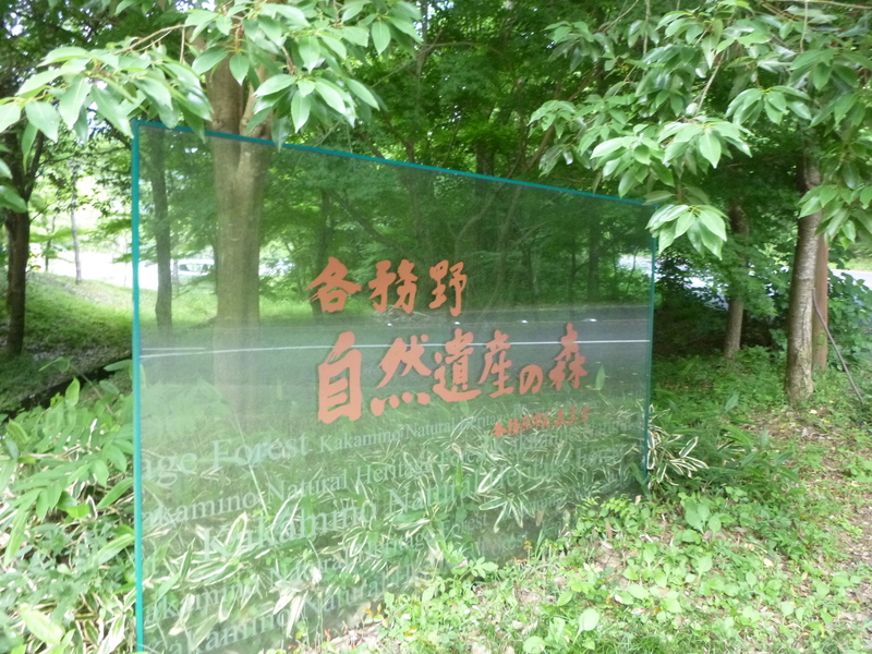 d0170615_1654123.jpg
