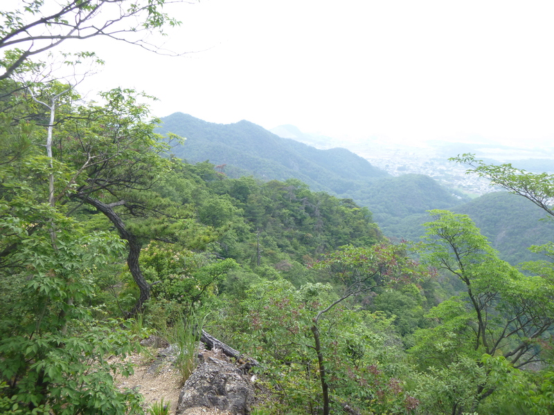 d0170615_1673315.jpg