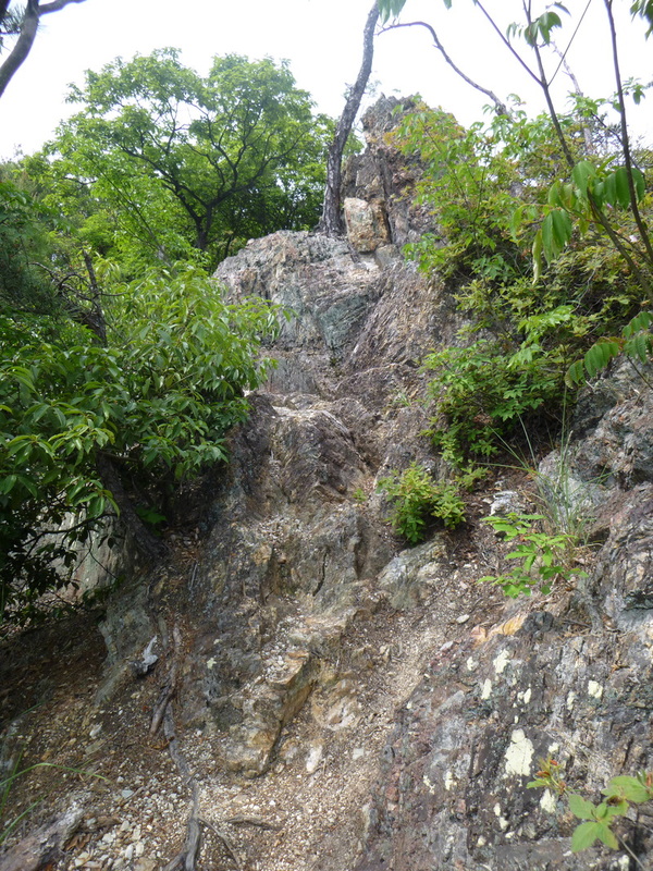 d0170615_1674883.jpg