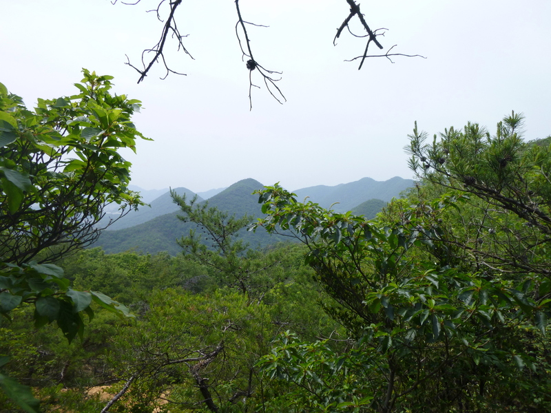 d0170615_167668.jpg
