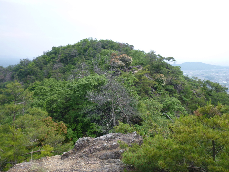 d0170615_1681933.jpg