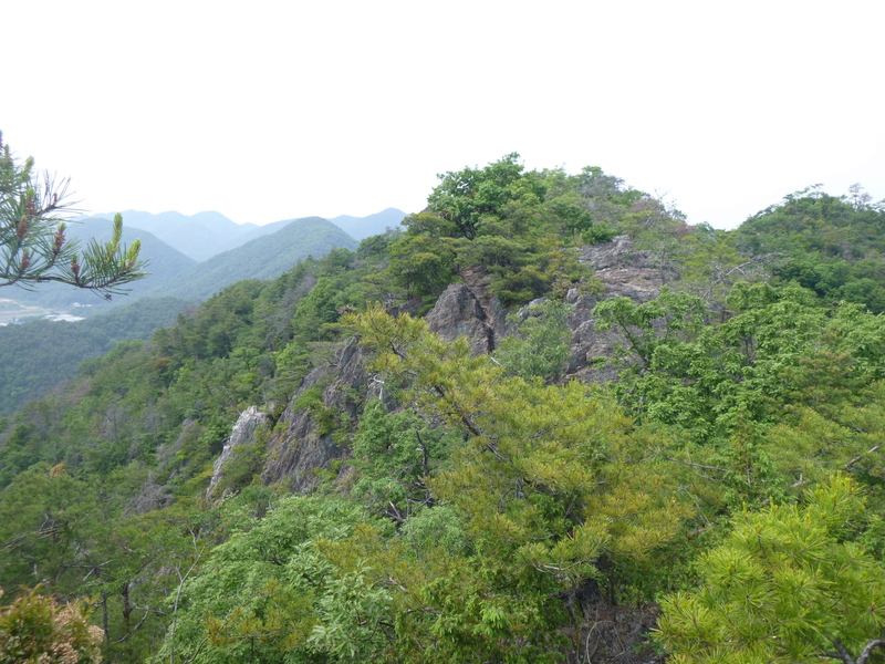 d0170615_1685934.jpg