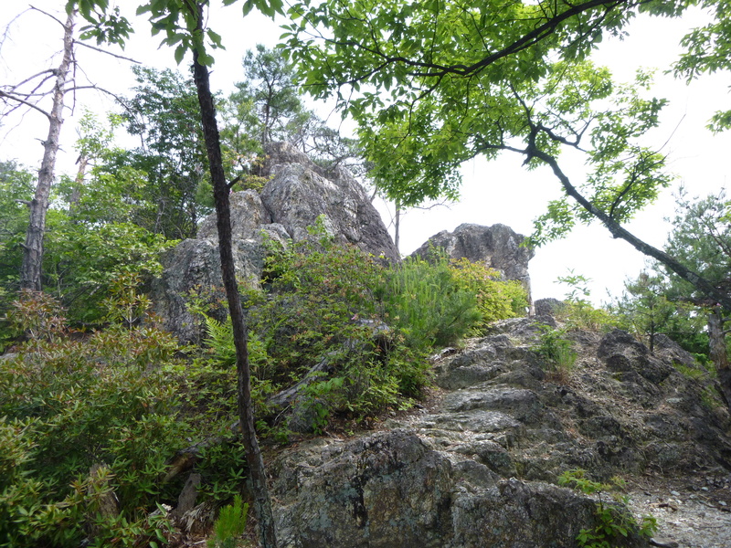 d0170615_169163.jpg