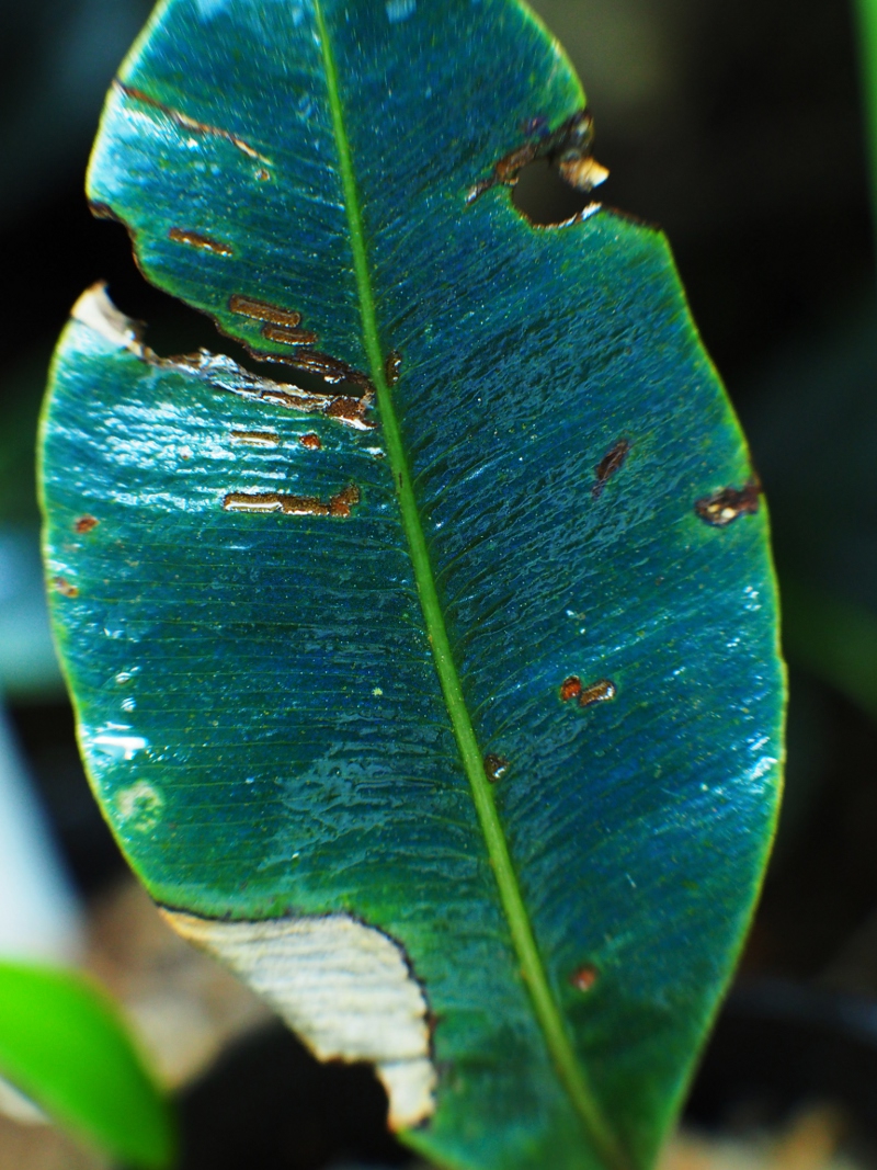 d0350219_10555737.jpg