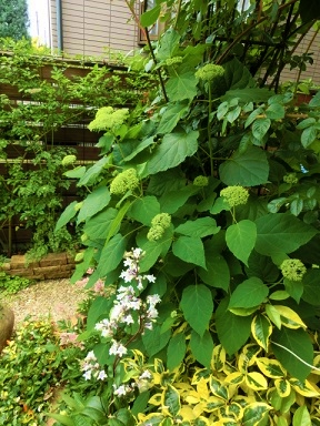 c0204121_11181632.jpg
