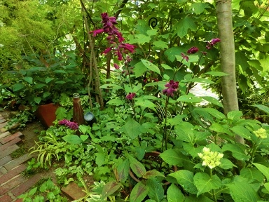 c0204121_20281245.jpg