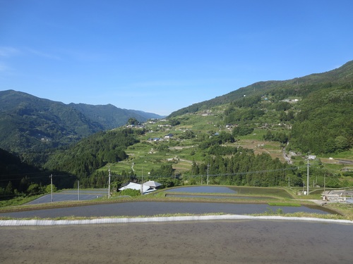 f0149422_20475865.jpg
