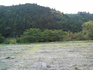 f0036223_1352354.jpg