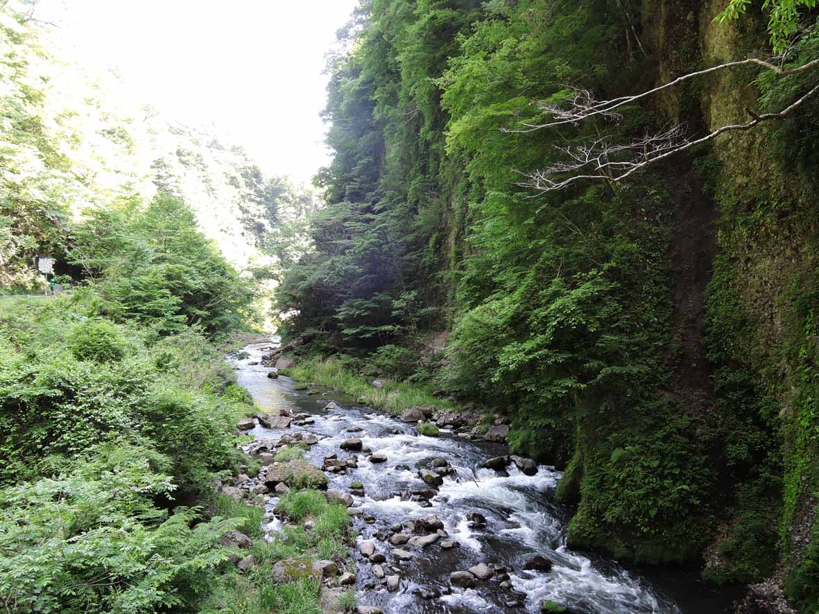 d0211129_20125113.jpg