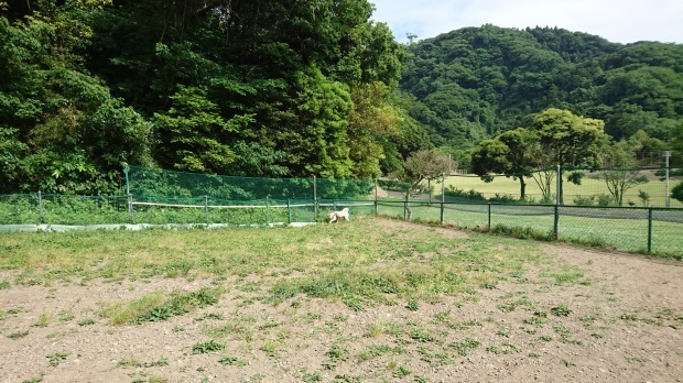 c0122633_21392359.jpg