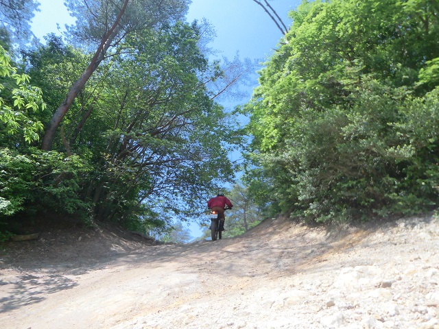 a0143839_0097.jpg