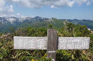 b0189948_0503559.jpg