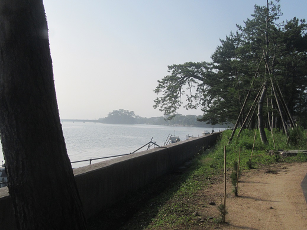 f0113862_18375065.jpg