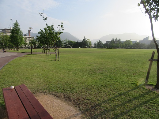 f0113862_18431845.jpg