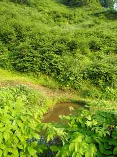 b0079965_542129.jpg