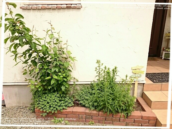 f0201565_08334777.jpg