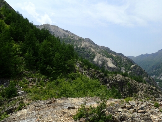 d0345366_12514903.jpg