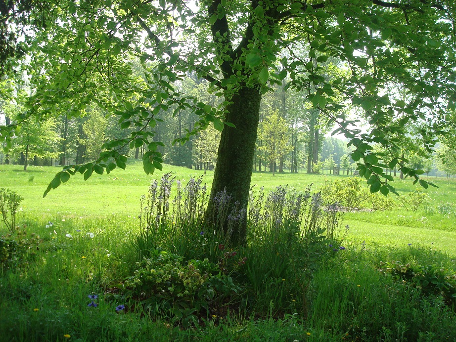 a0123372_681454.jpg