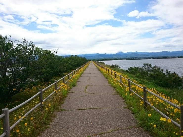 d0095673_15511435.jpg