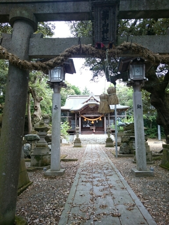 d0095673_15513060.jpg
